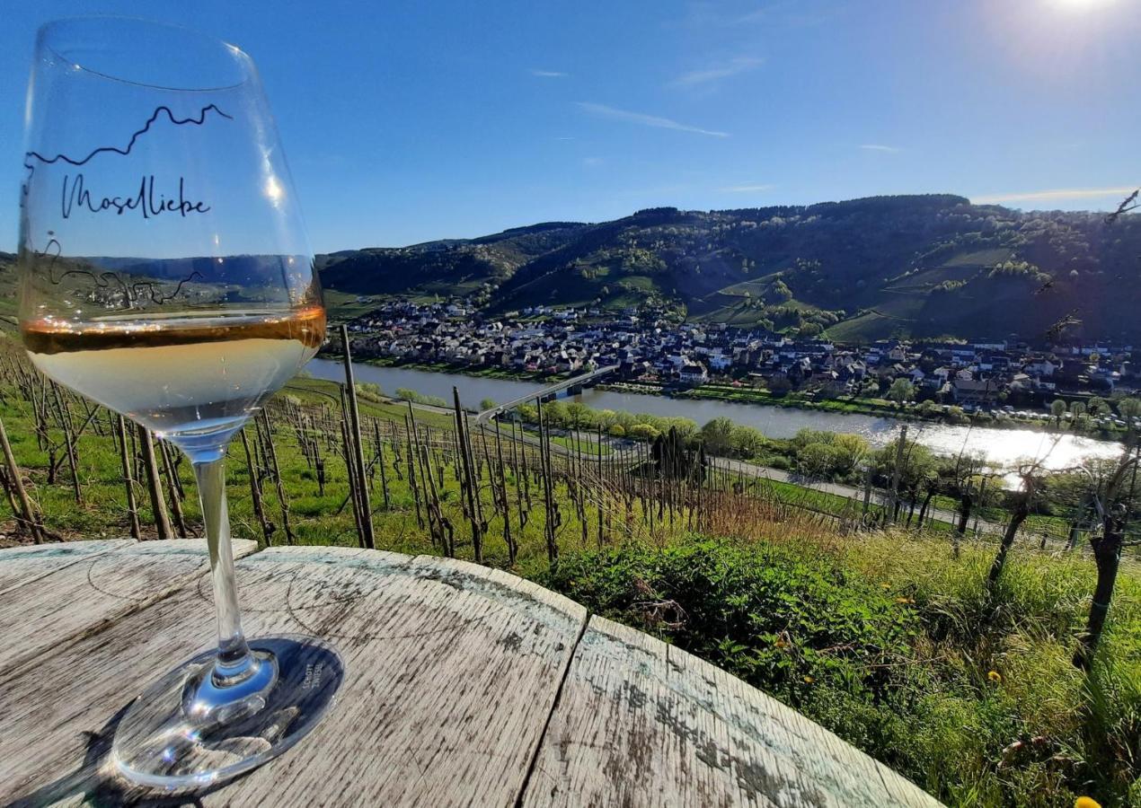 ライルMosel-Erkerアパートメント エクステリア 写真